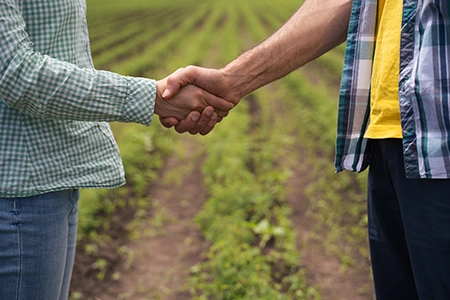 handshake in cornfield